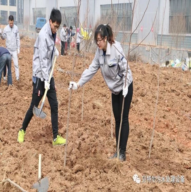 貝特環保開展“積極參加義務植樹，建設美麗貝特環保”活動