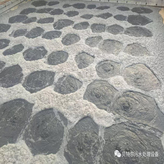山東貝特環保出口設備成功運行！